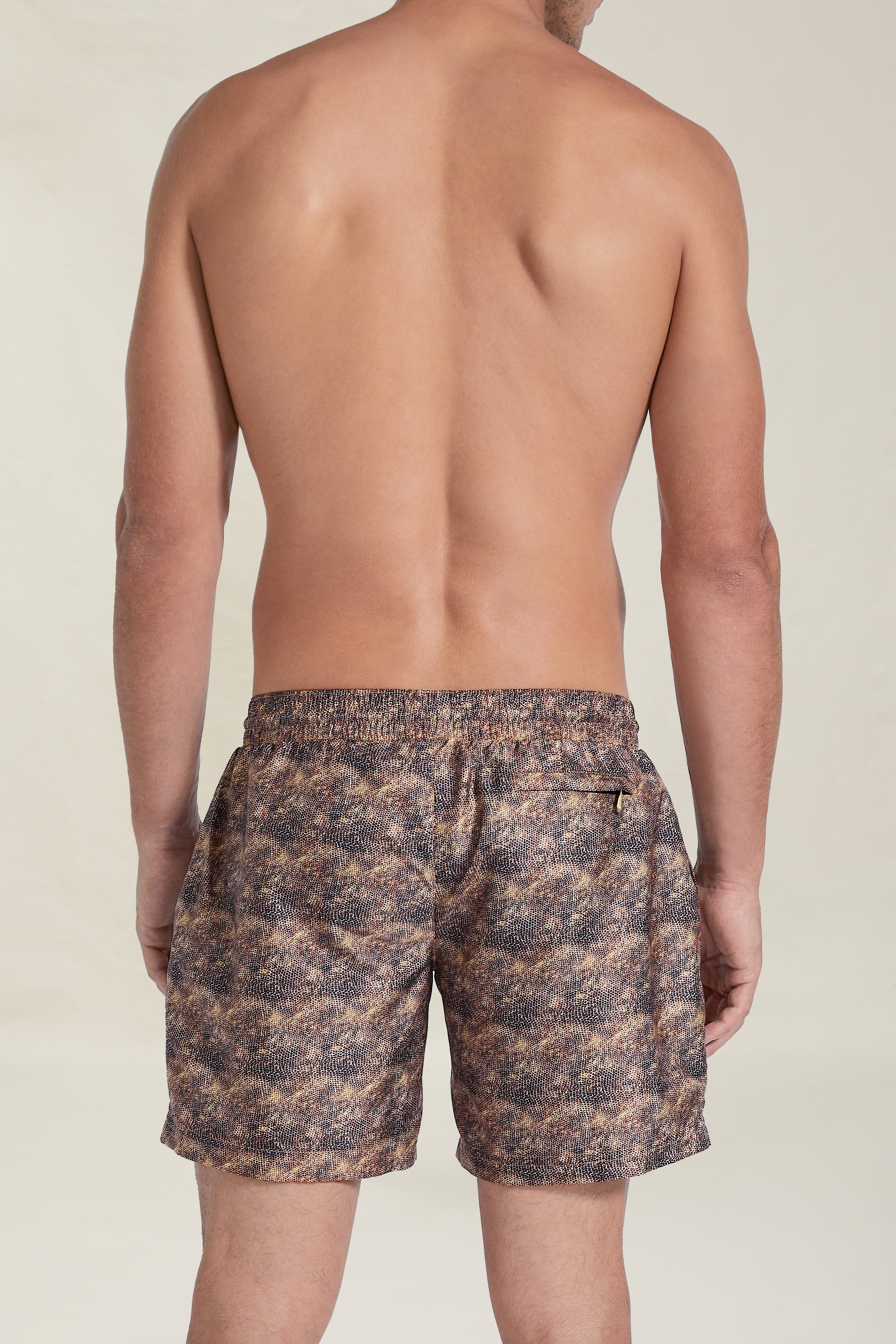 Dexter Swim Shorts