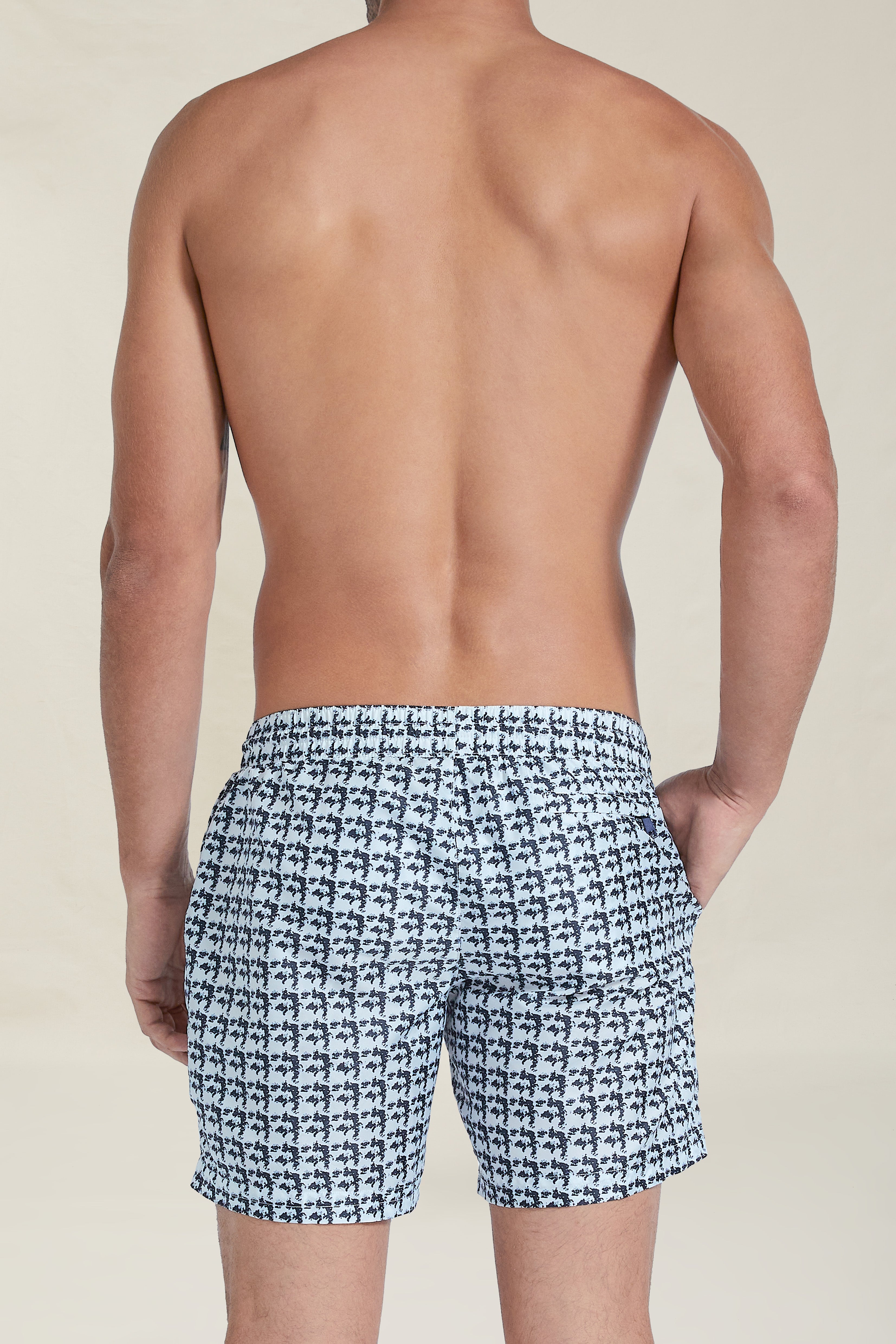 Dexter Swim Shorts