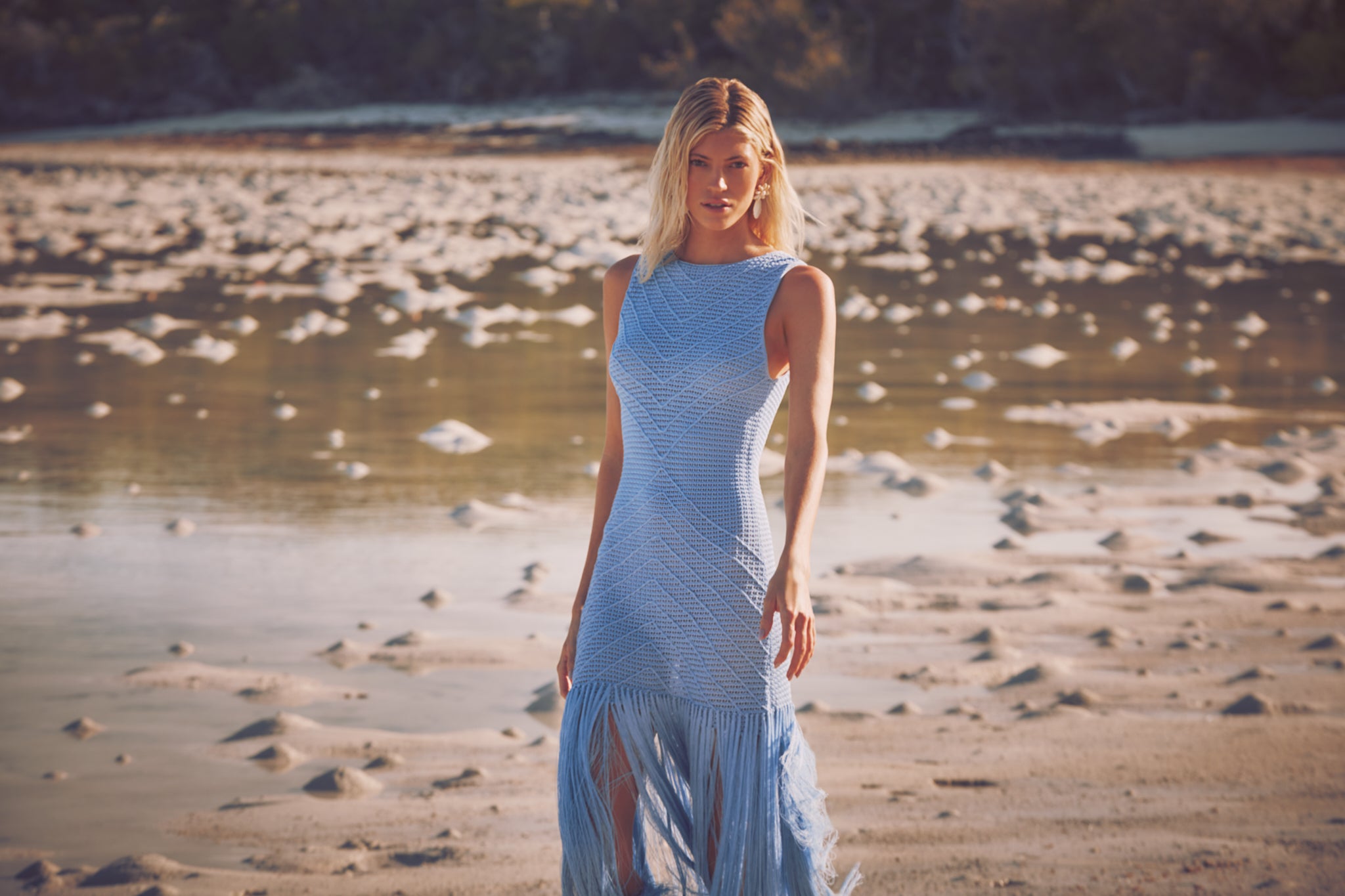Leiza Dress